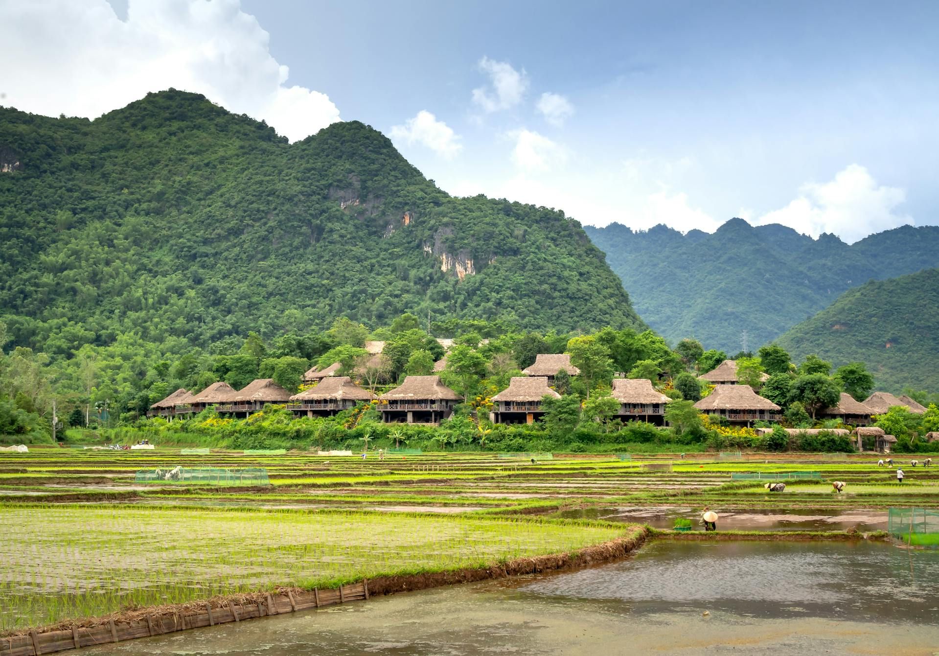 Vietnam Famiglia Avventura 12 Giorni - 12 giorni / 11 notti